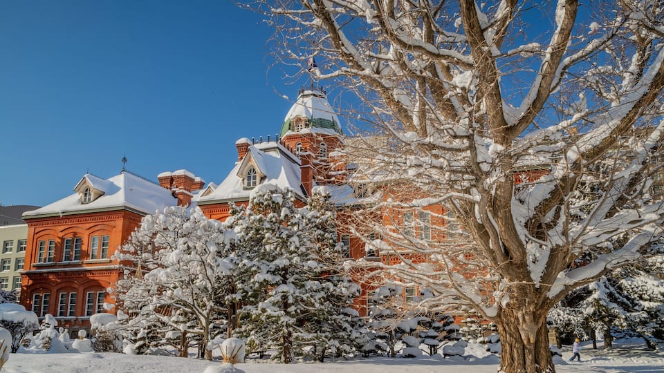 Former Hokkaido Government Office Building featuring snow and heritage architecture