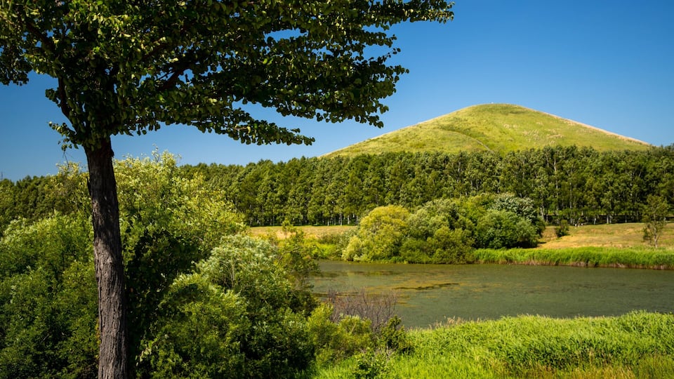 Un río, una colina y un árbol.