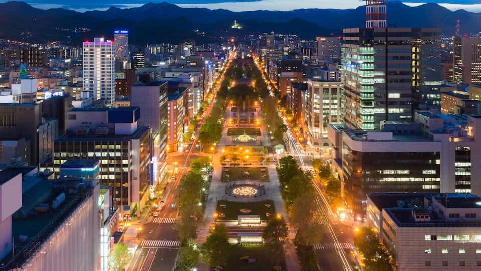 Paisagem urbana com uma avenida central arborizada e edifícios, rodeada por montanhas.