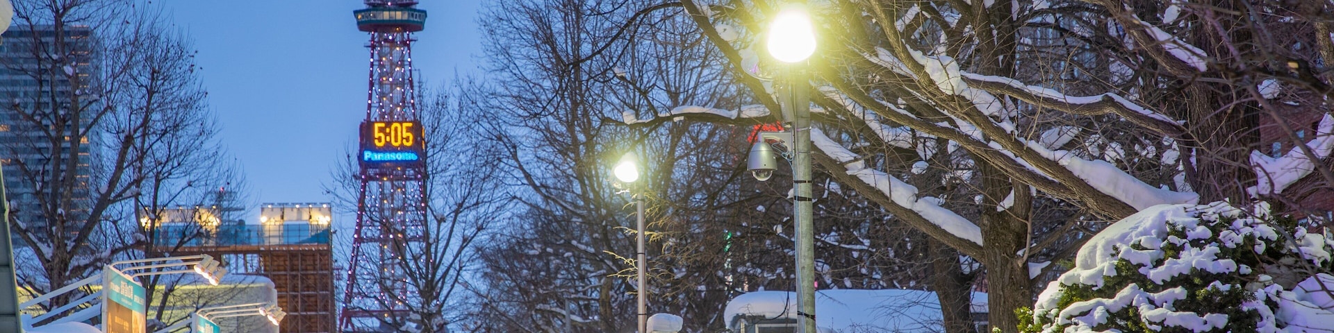 Odori Park which includes street scenes, night scenes and snow