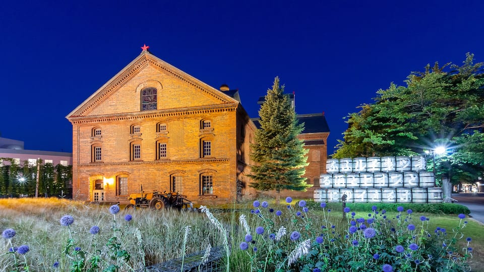 Un edificio de ladrillo grande con techo triangular, rodeado de pastos altos y flores moradas, bajo un cielo nocturno oscuro.