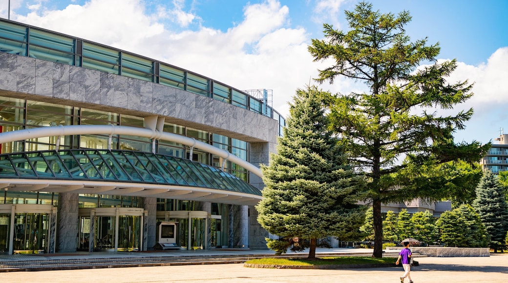 Sapporo Concert Hall as well as an individual femail
