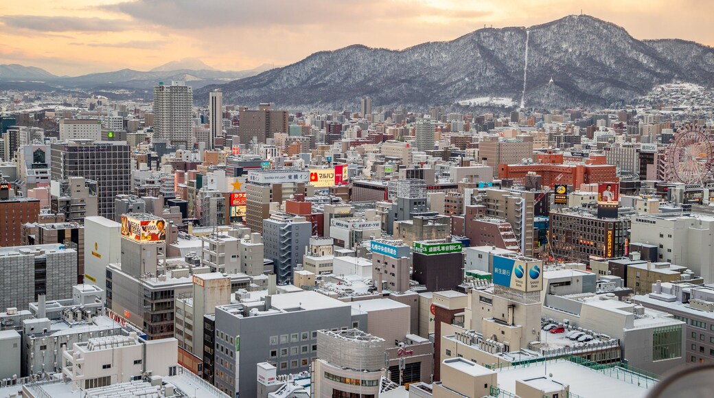 Sapporo TV Tower featuring a city, a sunset and landscape views