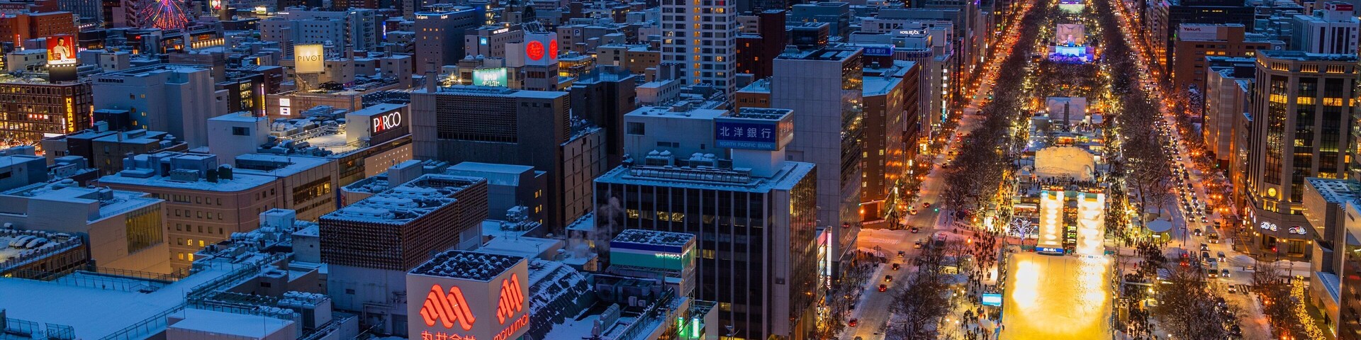 Sapporo TV Tower showing landscape views, a city and night scenes