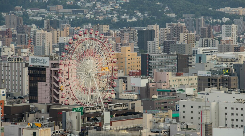 Sapporo TV Tower featuring a city and landscape views