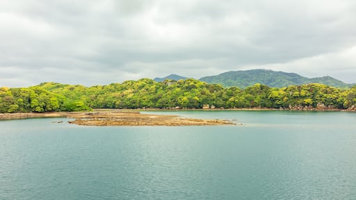 ์ ์นด๋ฏธ๊ณ ํ ์ 