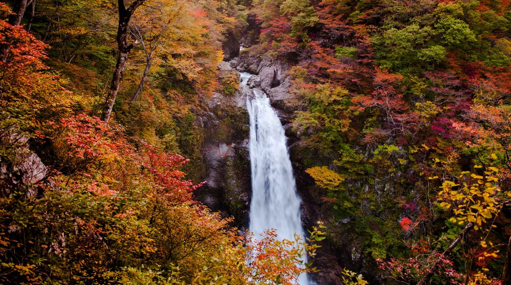 Akiu Waterfall, Akiu Otaki