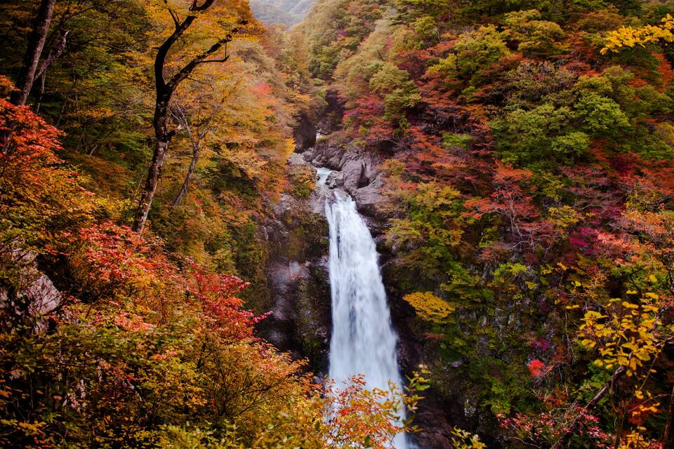 A waterfall surrounded by autumn-colored foliage.