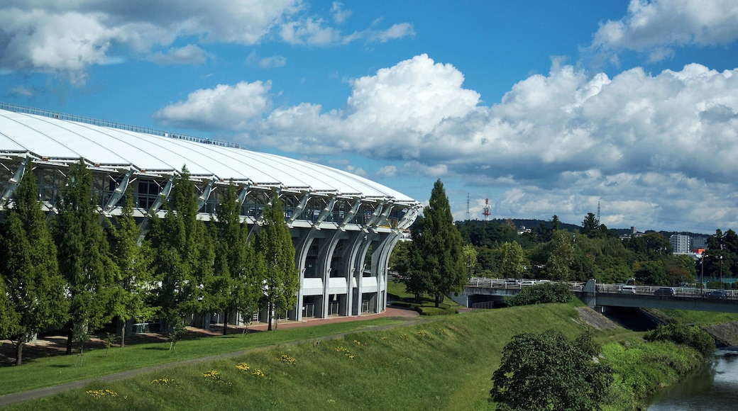 Estadio de Sendai