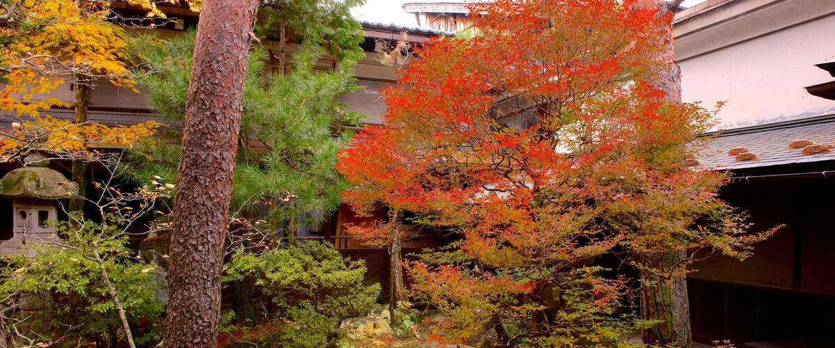 Bảo tàng Dân tộc Kusakabe Mingei-kan trong đó bao gồm khu vườn và lá mùa thu