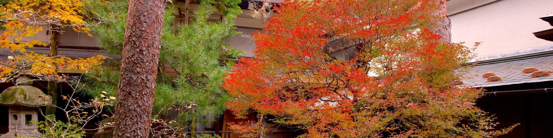 A traditional Japanese garden with a stone lantern, moss-covered rocks, and a variety of trees in autumn colors.