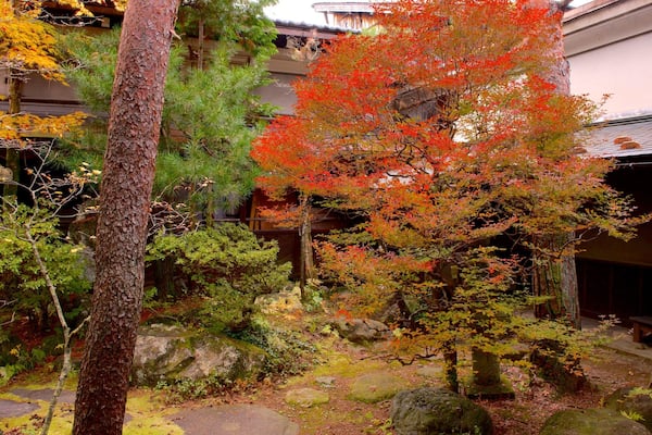 Kusakabe Mingei-kan featuring autumn leaves and a park