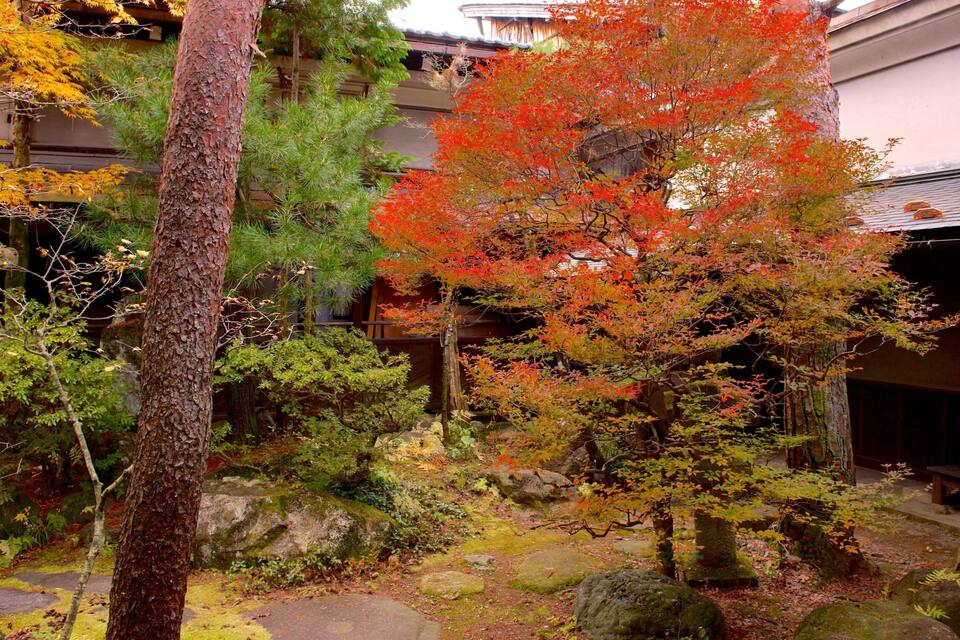 A traditional Japanese garden with a stone lantern, moss-covered rocks, and a variety of trees in autumn colors.