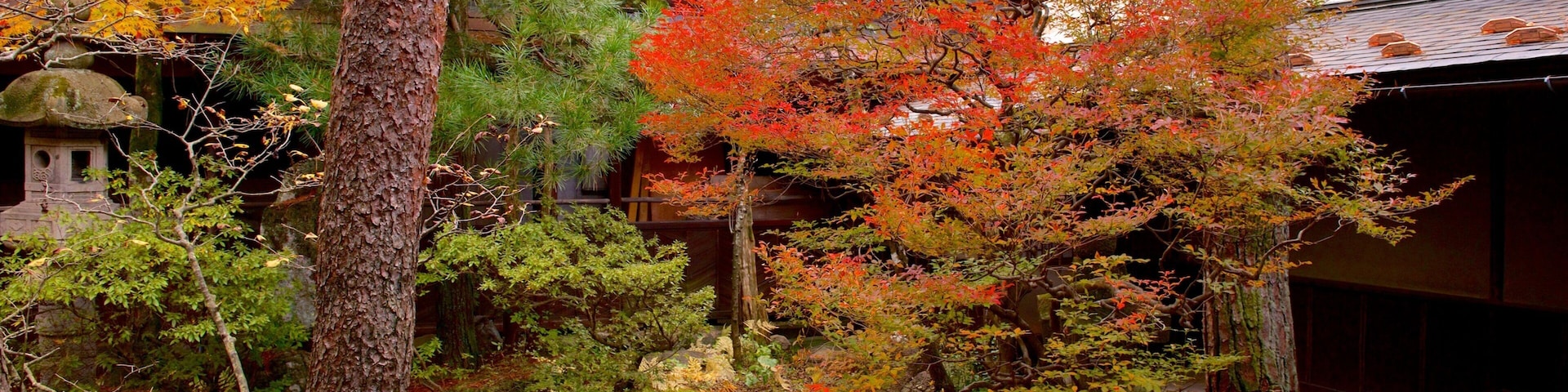 Um jardim japonês tradicional com um candeeiro de pedra, rochas cobertas de musgo e diversas árvores em tons de outono.