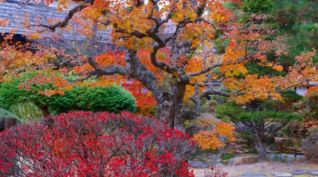 Takayama Jinya showing fall colors