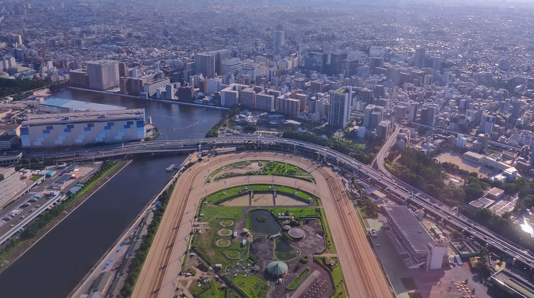 着陸態勢の飛行機からの大井競馬場上空1