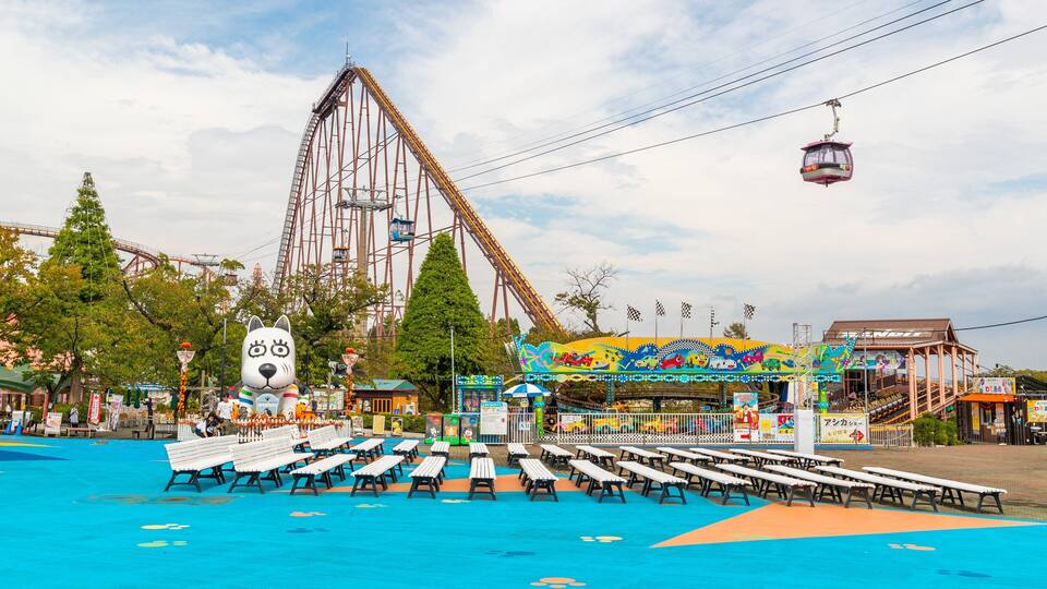 Yomiuriland showing rides and a gondola
