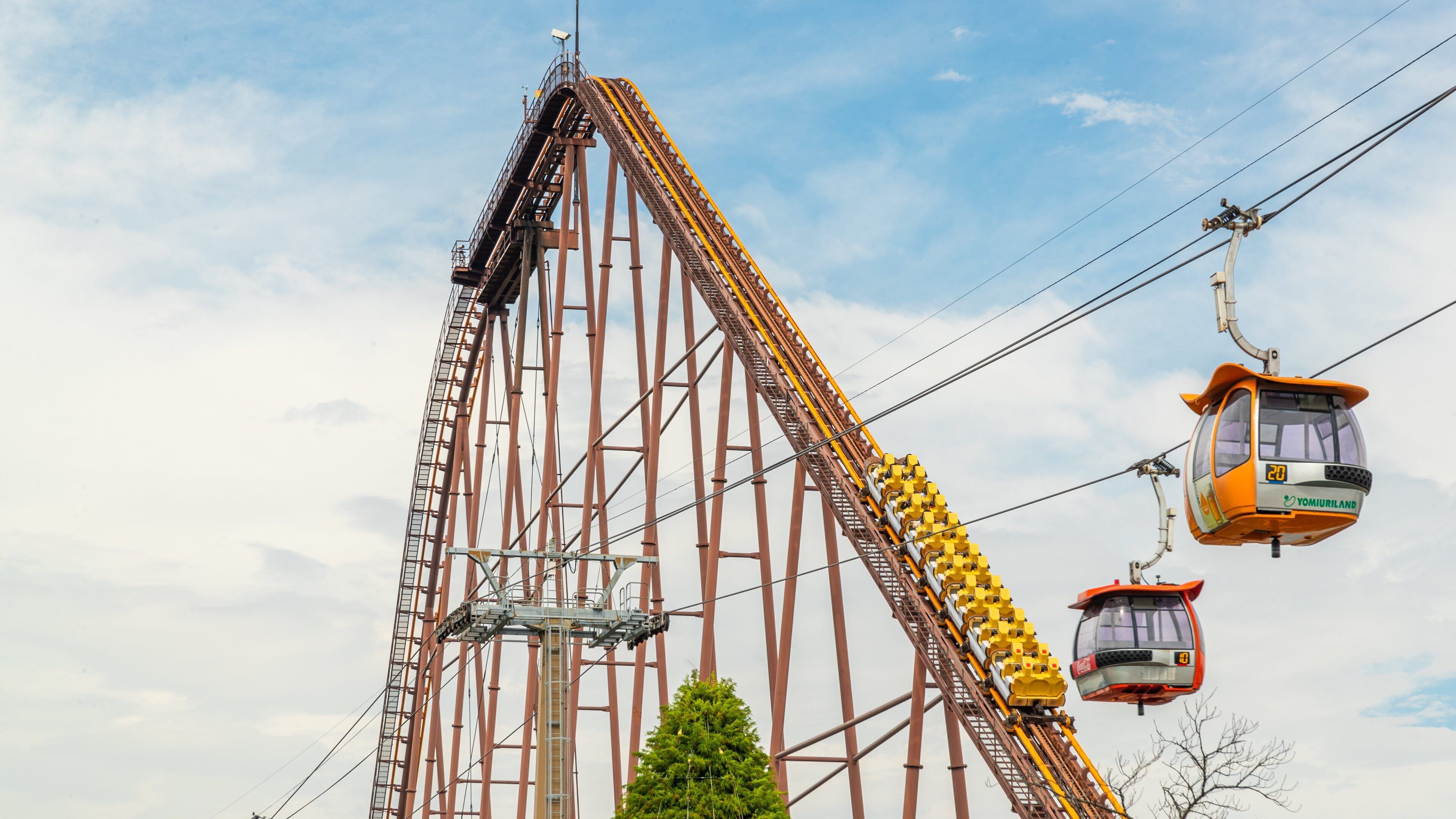 A tall steel roller coaster with a steep drop, a cable car system, and a green tree in the foreground.