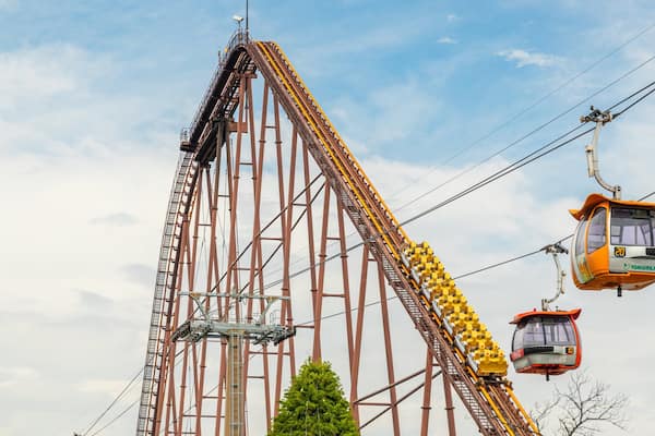 A tall steel roller coaster with a steep drop, a cable car system, and a green tree in the foreground.