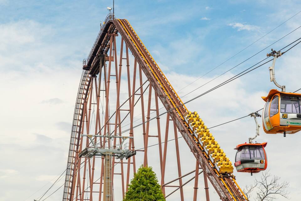 A tall steel roller coaster with a steep drop, a cable car system, and a green tree in the foreground.