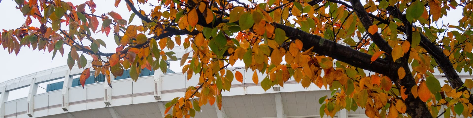 Toyama Municipal Baseball Stadium Alpen Stadium