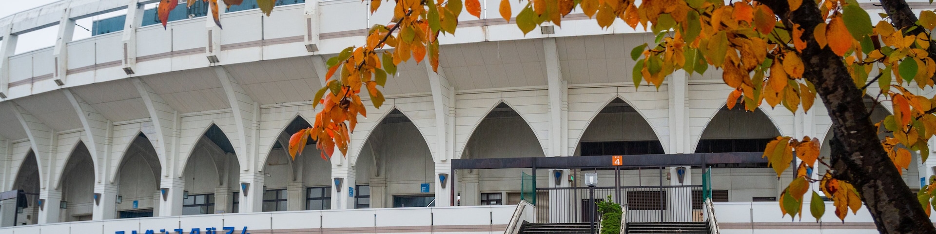 Toyama Municipal Baseball Stadium Alpen Stadium