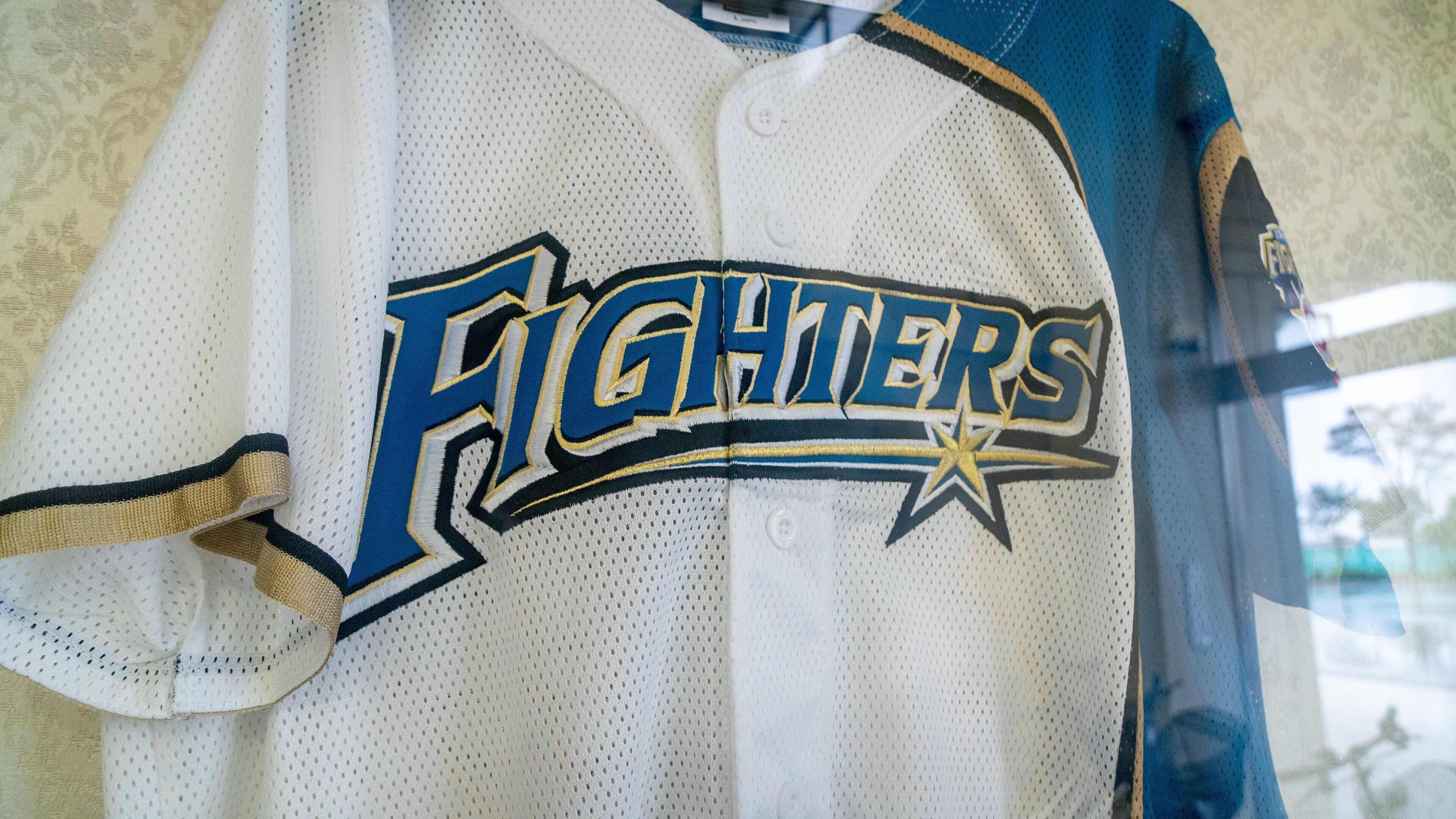 Toyama Municipal Baseball Stadium Alpen Stadium