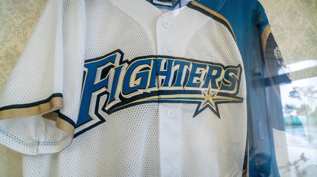 Toyama Municipal Baseball Stadium Alpen Stadium