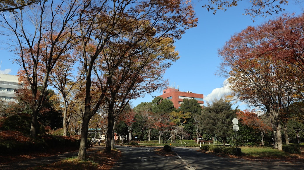 筑波大学 筑波キャンパス