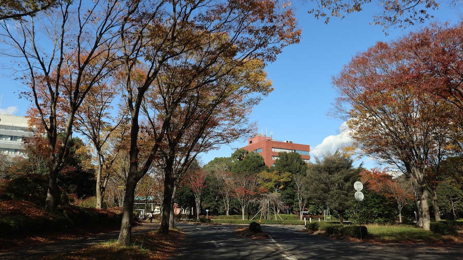 มหาวิทยาลัย Tsukuba