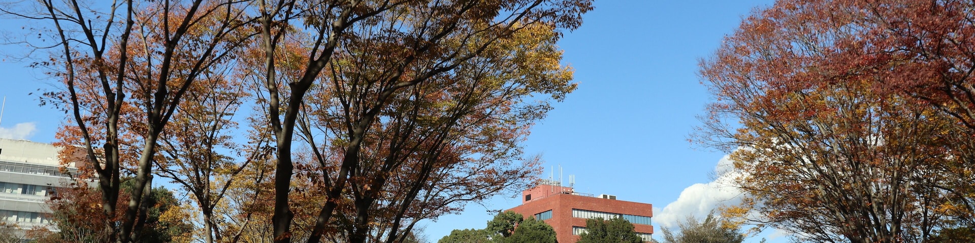 筑波大学 筑波キャンパス