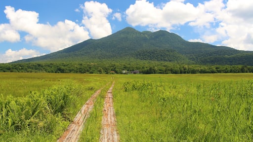 真夏の尾瀬ヶ原と燧ケ岳 Oze in summer