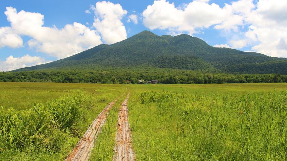A grassy field with a dirt path leading to a mountain.