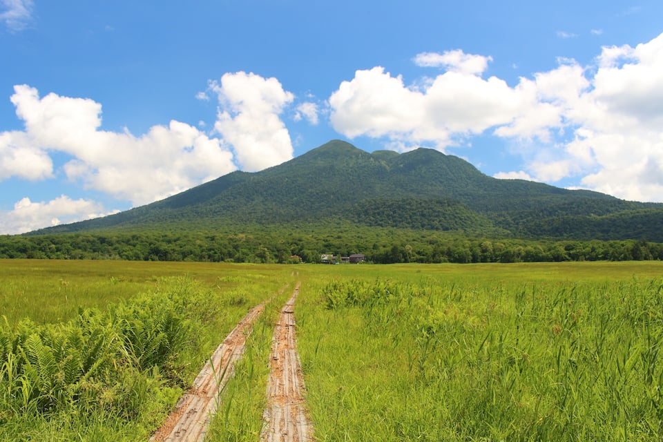 A grassy field with a dirt path leading to a mountain.