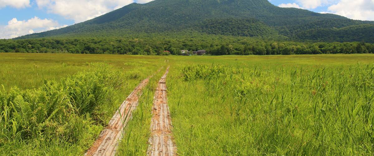 A grassy field with a dirt path leading to a mountain.