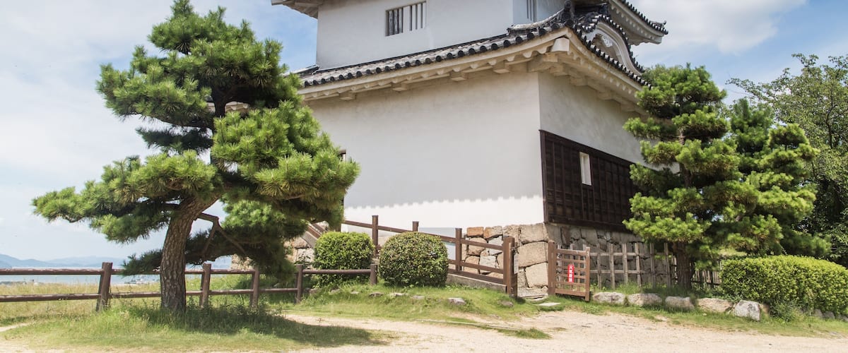A traditional Japanese castle with a prominent multi-tiered roof, surrounded by pine trees and a stone fence.