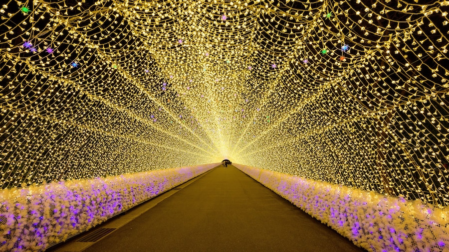 Winter Illumination in Nabananosato at Nagashima spaland, Mie, Japan
