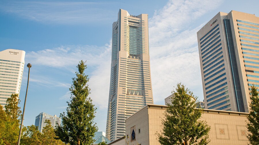 Landmark Tower showing a skyscraper and a city