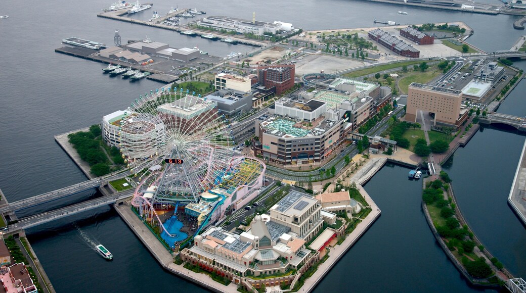 Landmark Tower which includes central business district, a city and rides