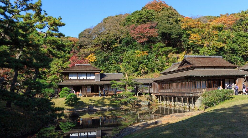 Sankei-enin puutarha