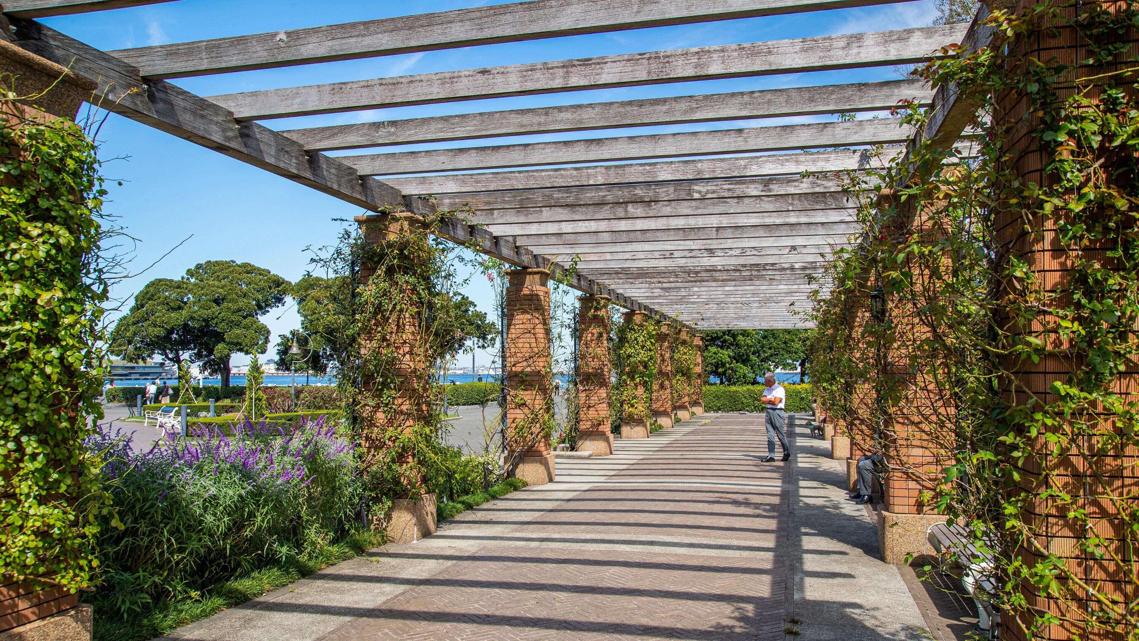 Yamashita Park showing a park