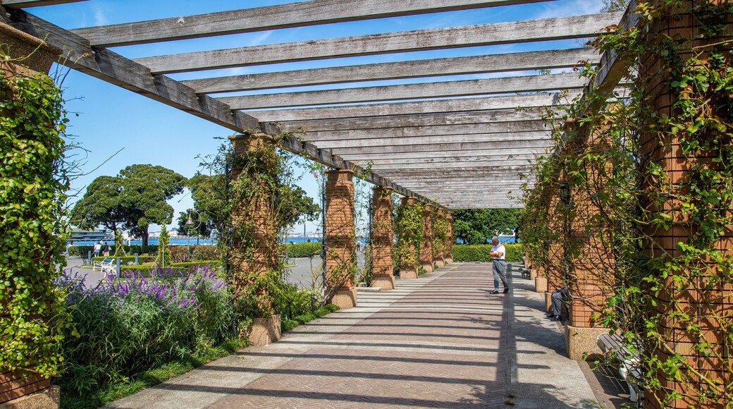 Yamashita Park showing a park