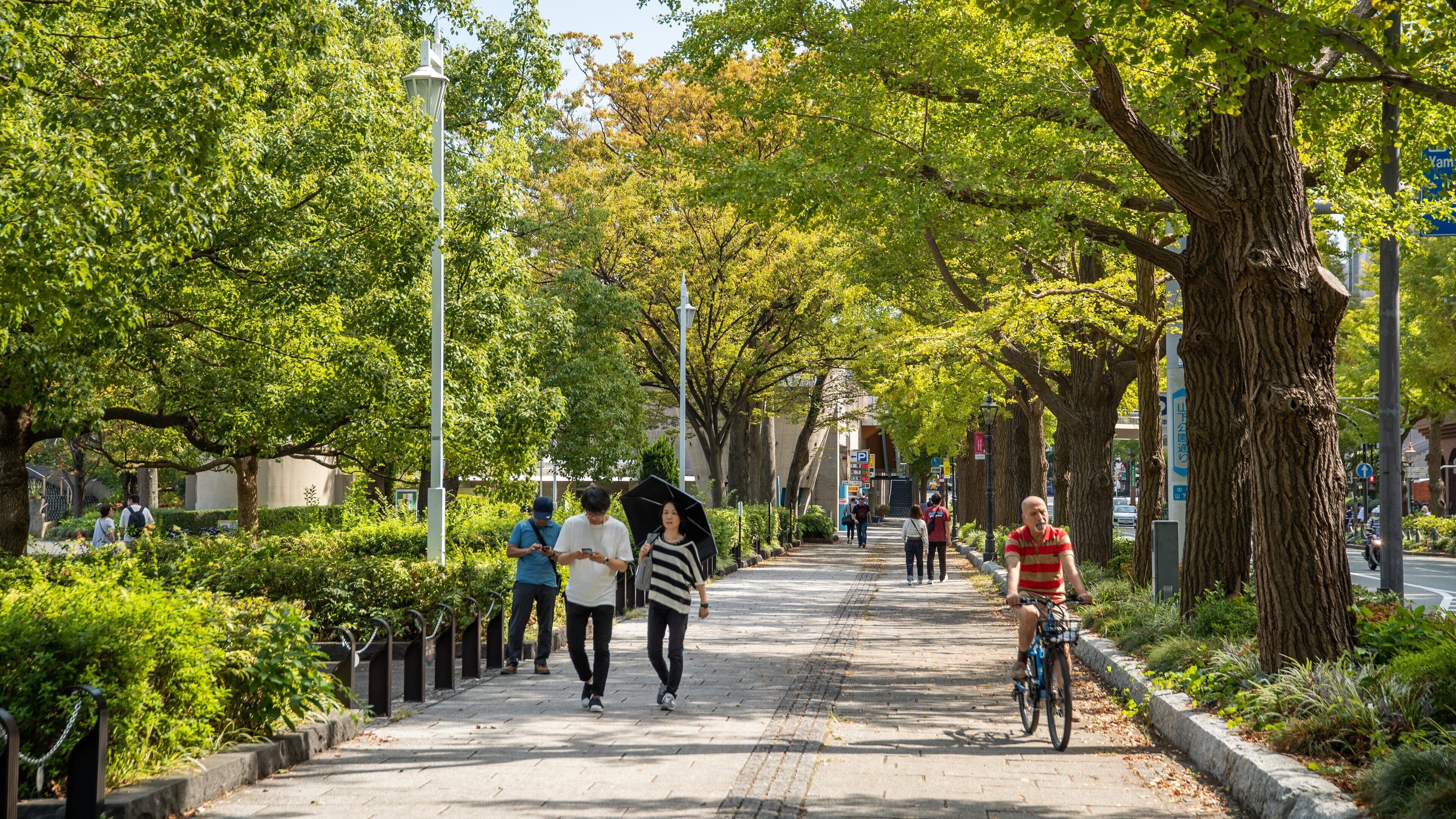 Yamashita Park featuring a park and road cycling as well as a couple
