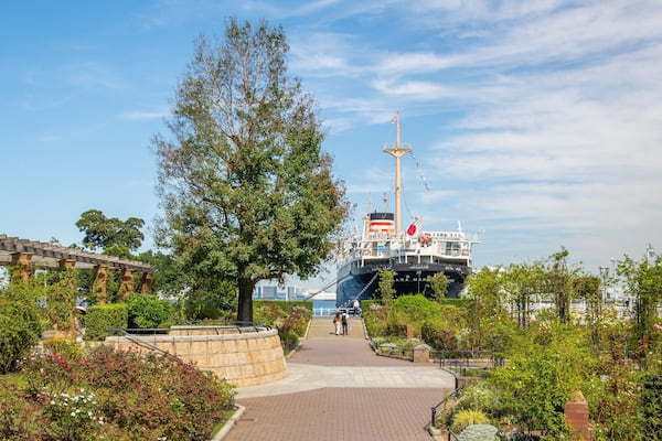 A park with a large tree, a pathway, and a ship docked in the background.