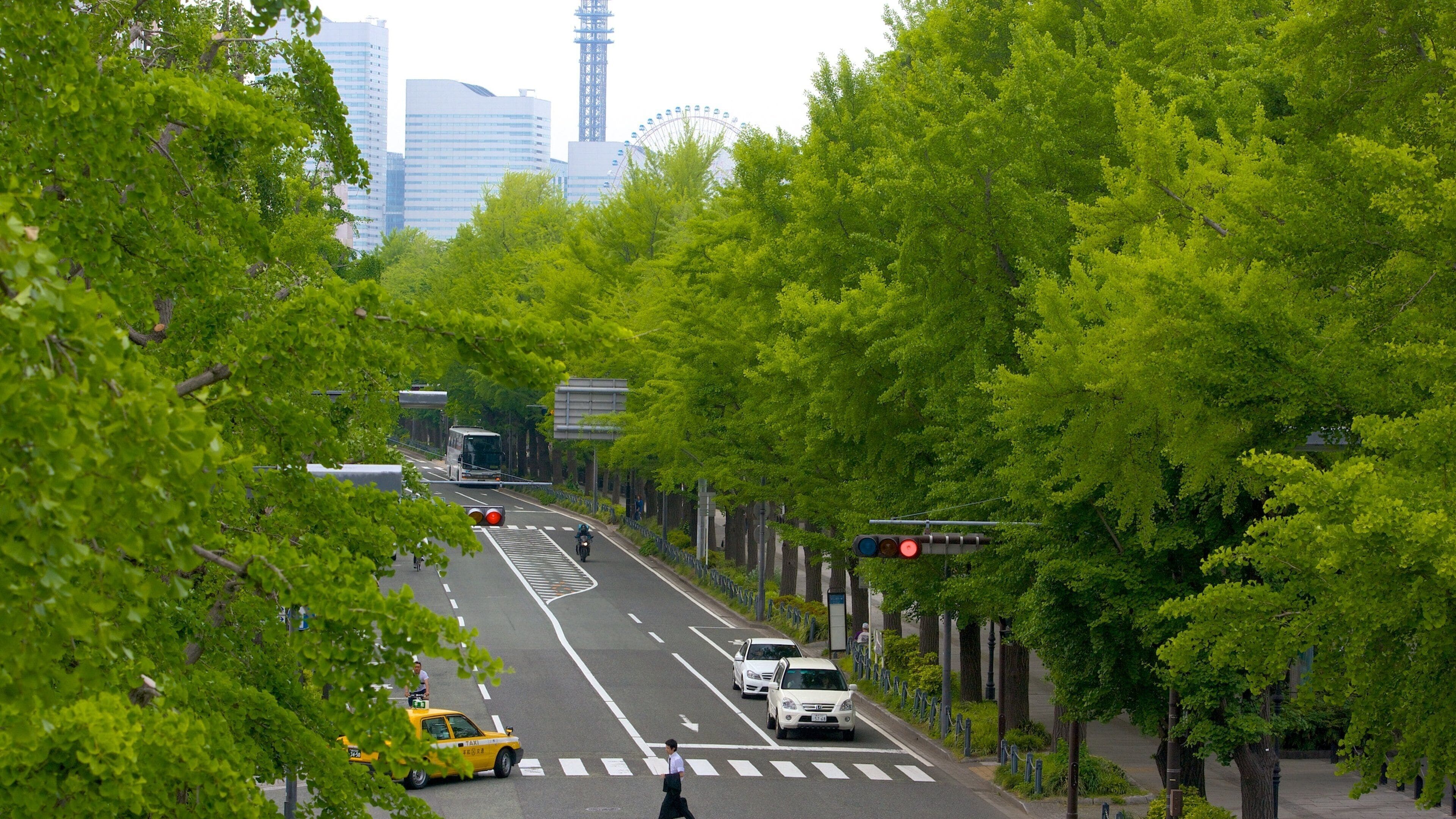 Yamashita Park showing street scenes and a city