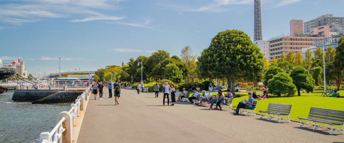 Yamashita Park showing a bay or harbor and a park