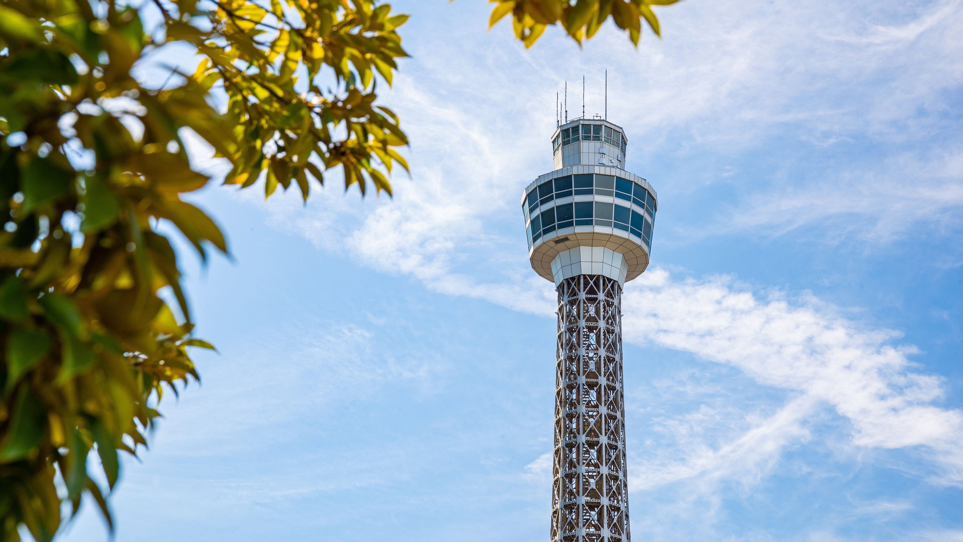 Yokohama Marine Tower which includes views