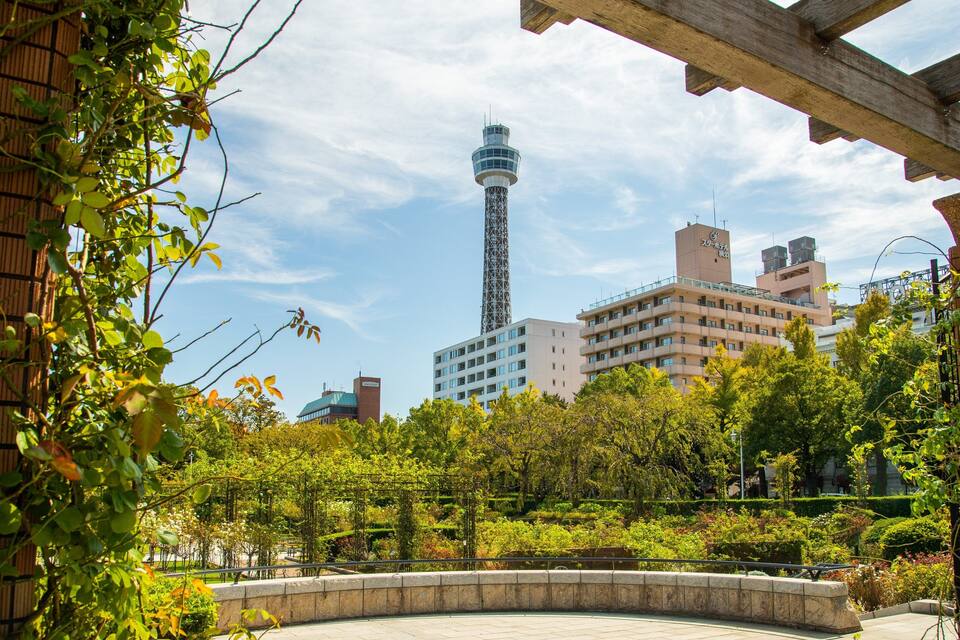 Un parque con una torre alta y edificios al fondo.