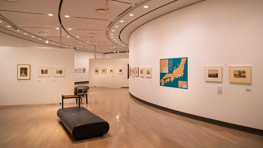 Yokohama Museum of Art featuring interior views and art