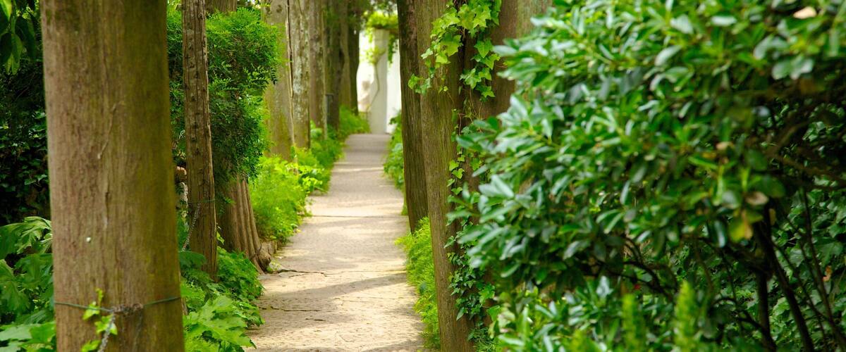 Villa San Michele cho thấy khu vườn